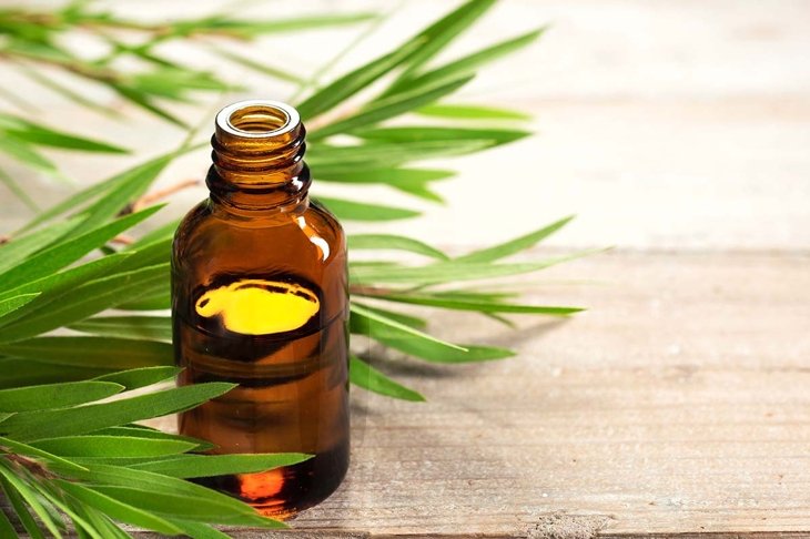 10 Tea Tree Oil Benefits for Health and Beauty
