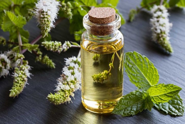 A bottle of peppermint essential oil with fresh peppermint leaves and flowers in the background