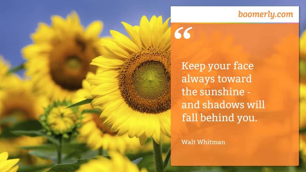 “Keep your face always toward the sunshine - and shadows will fall behind you.” - Walt Whitman